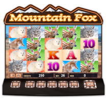 Mountain Fox